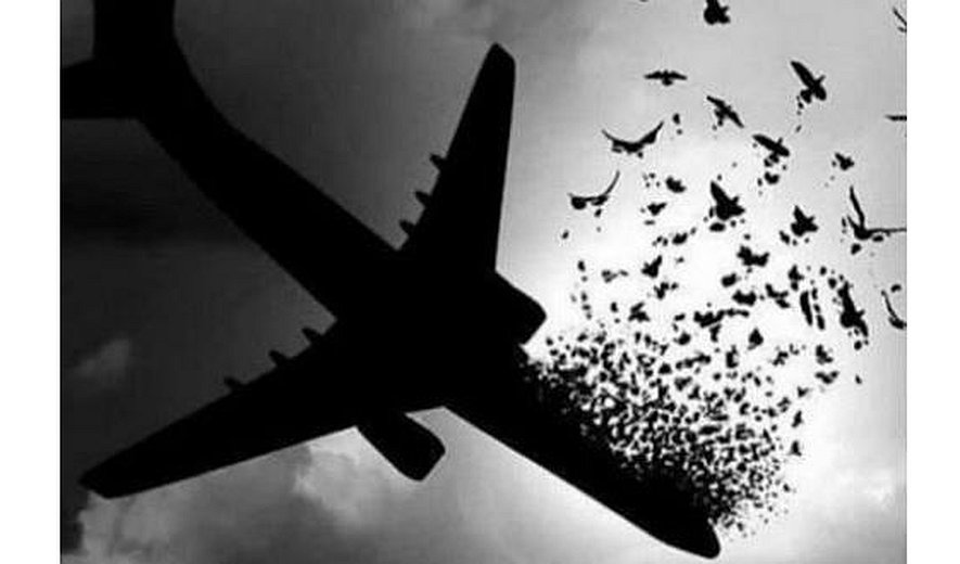 برای جاودانگان  #پرواز۷۵۲